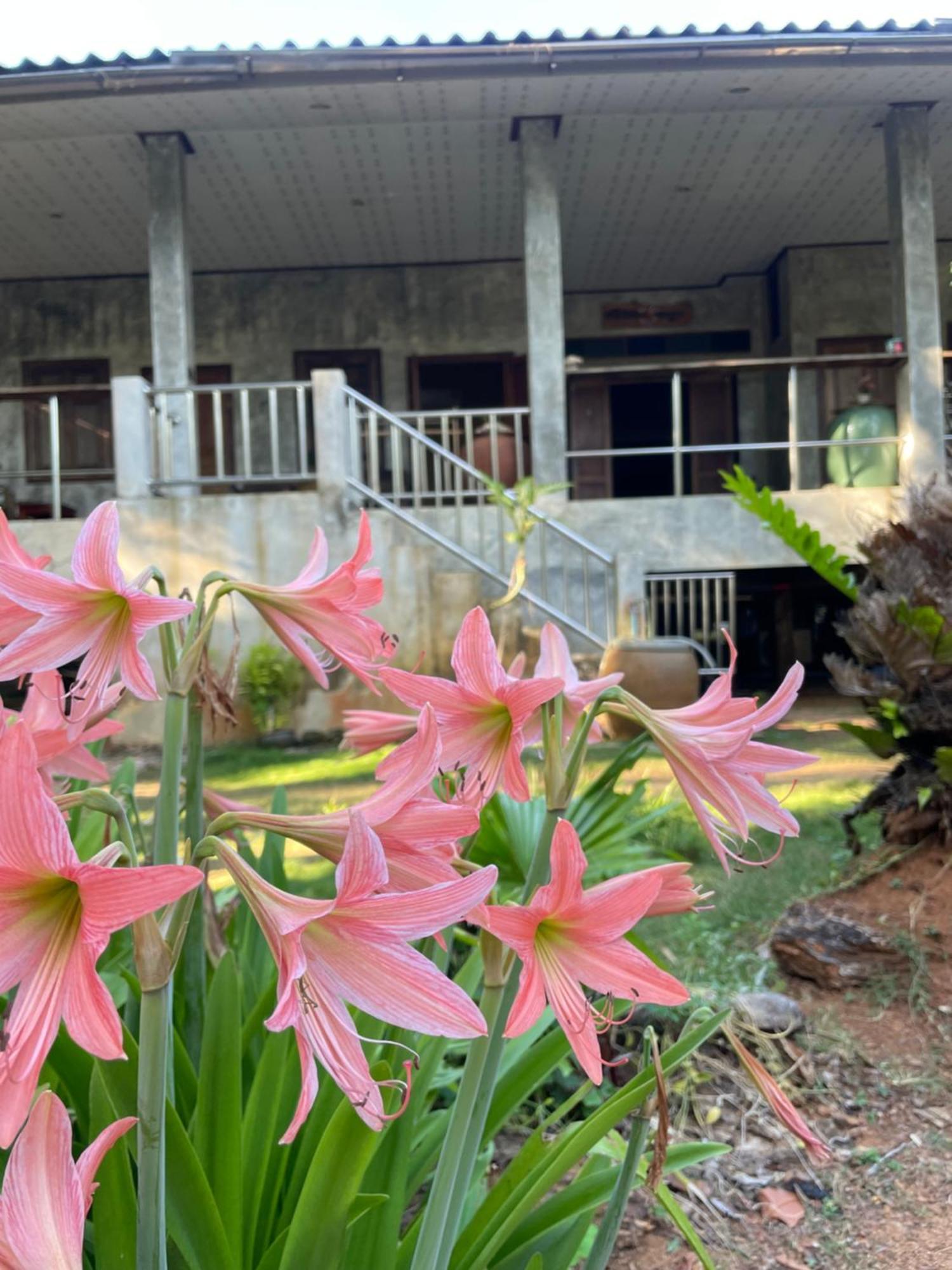 Baanyaiguesthouse كو ماك المظهر الخارجي الصورة