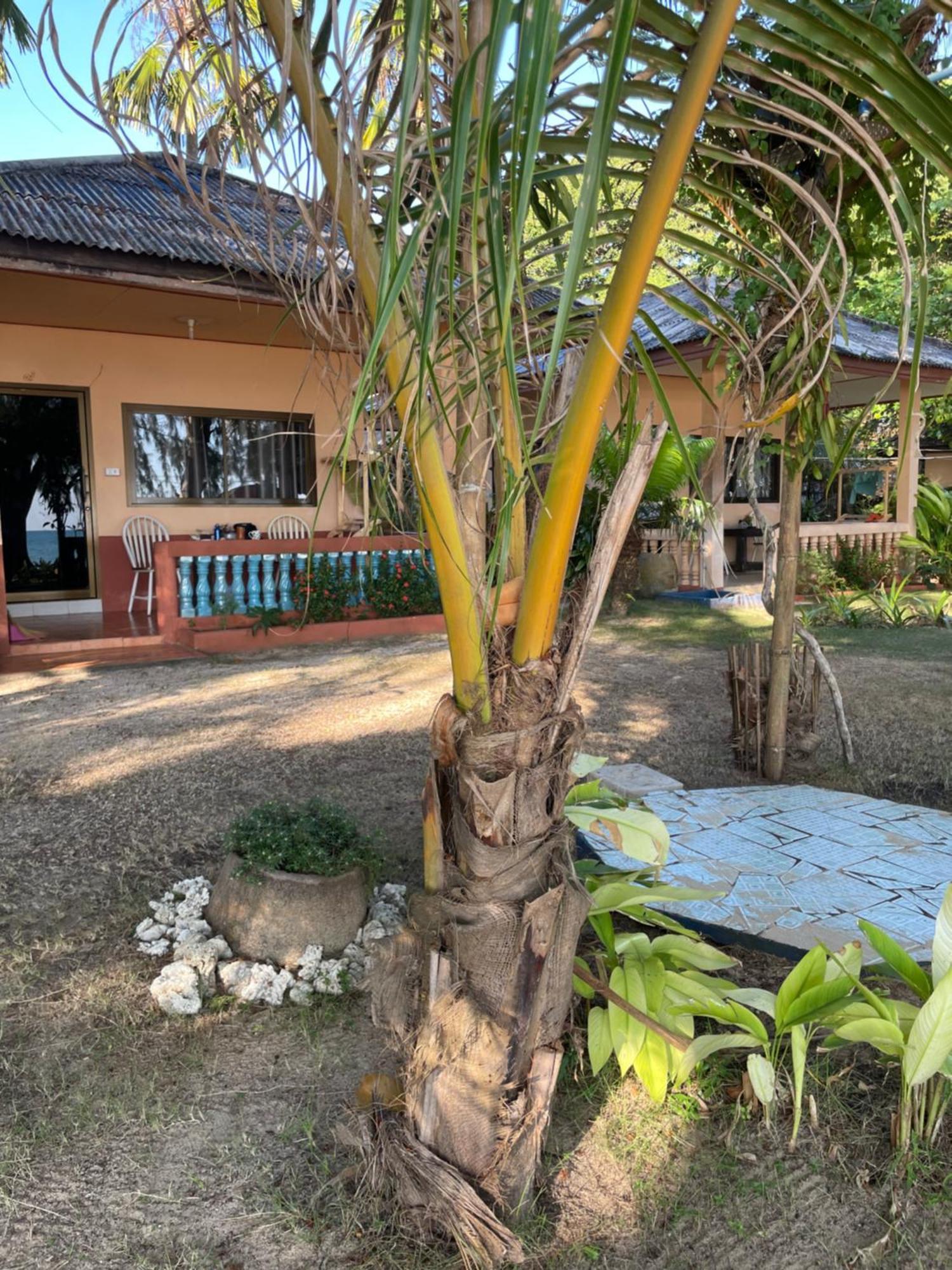 Baanyaiguesthouse كو ماك المظهر الخارجي الصورة