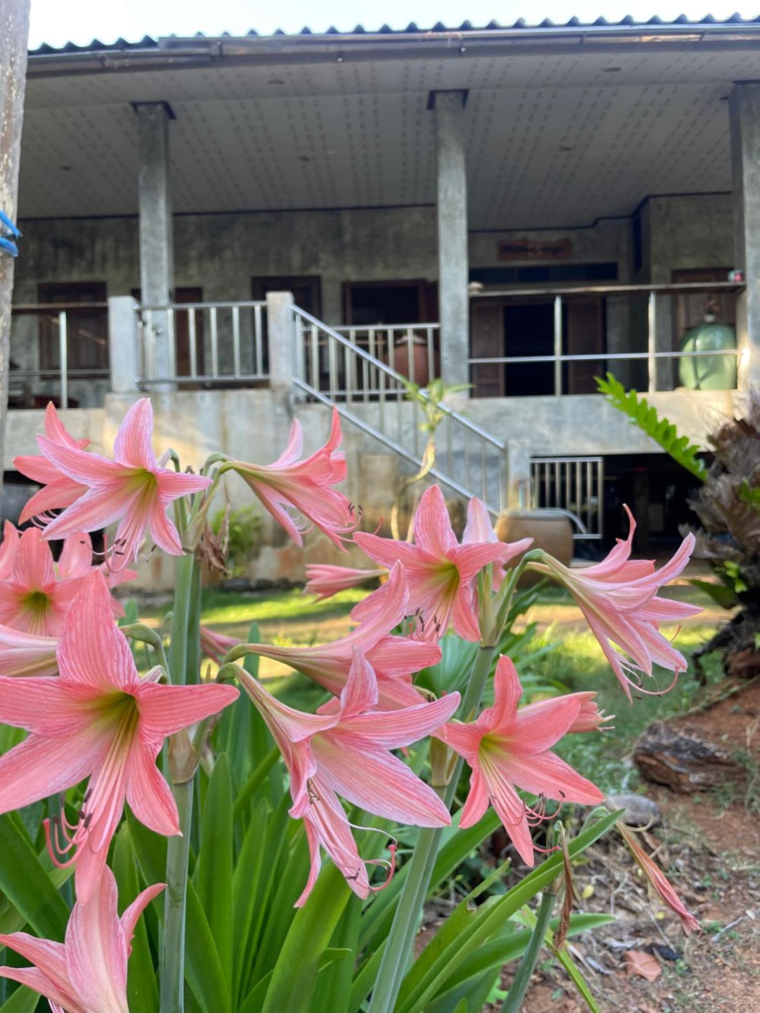 Baanyaiguesthouse كو ماك المظهر الخارجي الصورة