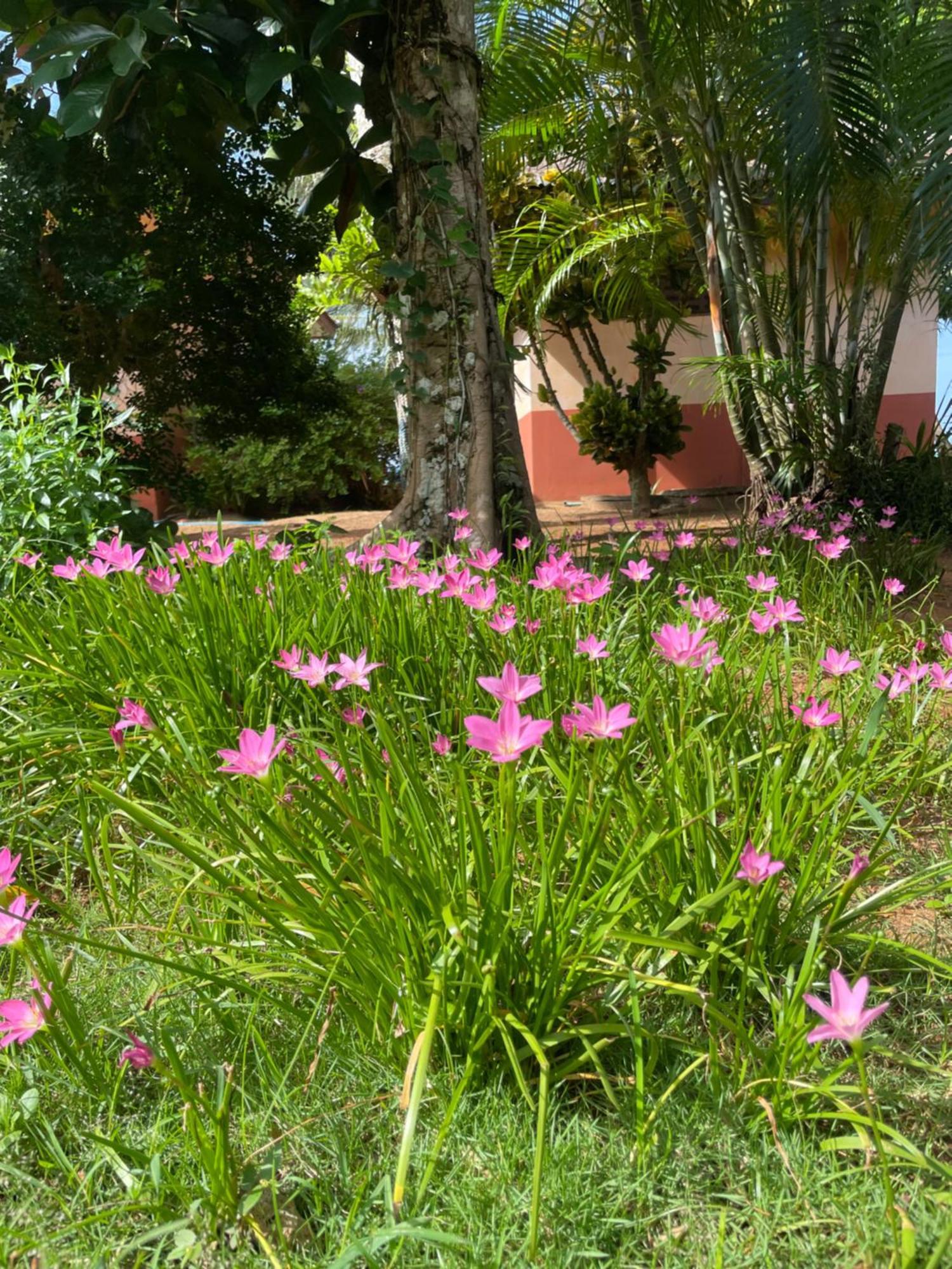 Baanyaiguesthouse كو ماك المظهر الخارجي الصورة